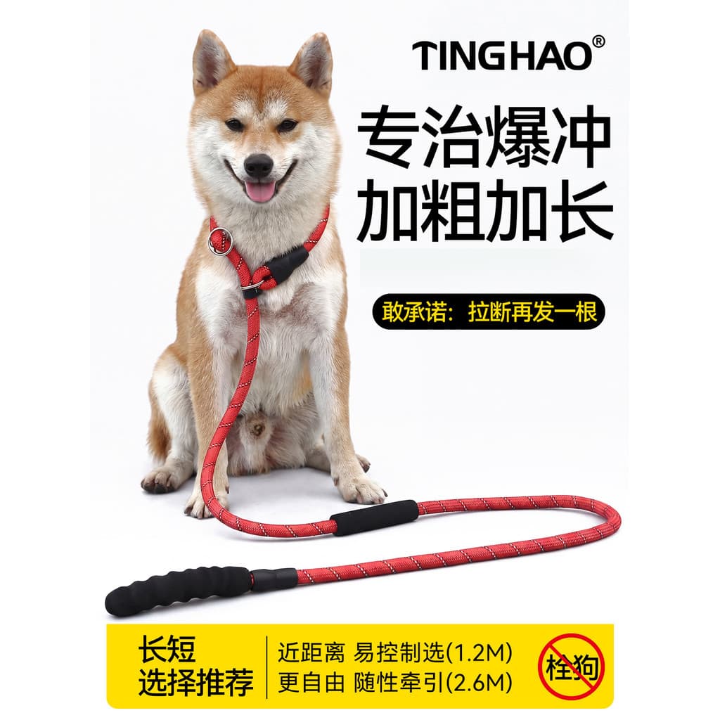 Trela do cão p corrente treinamento cão andando trela grande cão estilo negrito à prova de explosão Okinawa colar Shiba