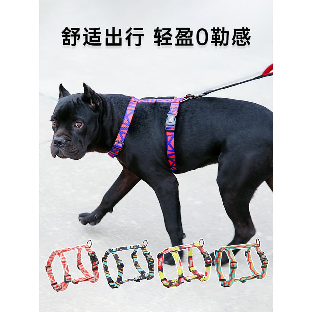 Coleira de cachorro em forma de I, alça peitoral, pequena, média e grande, dourada, Labrador, corrente de cachorro, pesc