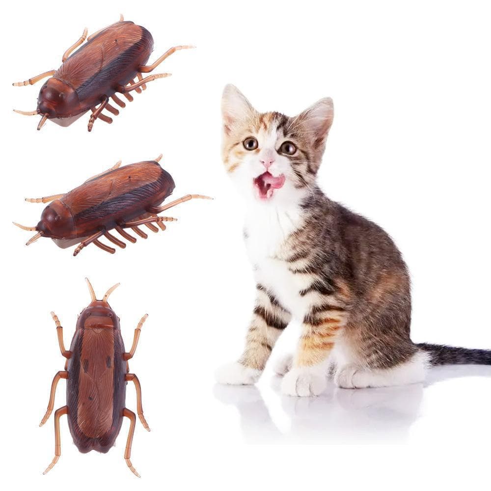 Barata Kitten Novidade Gag Toys Bateria Eletrônica