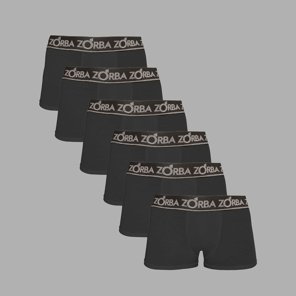 Kit 6 Cuecas Zorba Boxer Plus 717