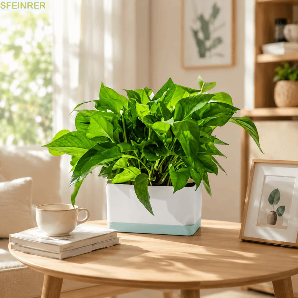 Vasos De Plantas Com Rega Automática SFEINRER , Plantadores De Flores Design De 2 Camadas Em Formato Quadrado , De Plást