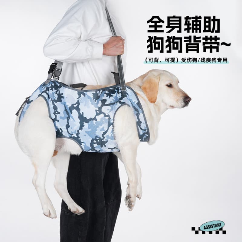 Nova Coleira de Suporte para Cães Idosos e com Deficiência - Coleira Ajustável para Reabilitação e Viagens