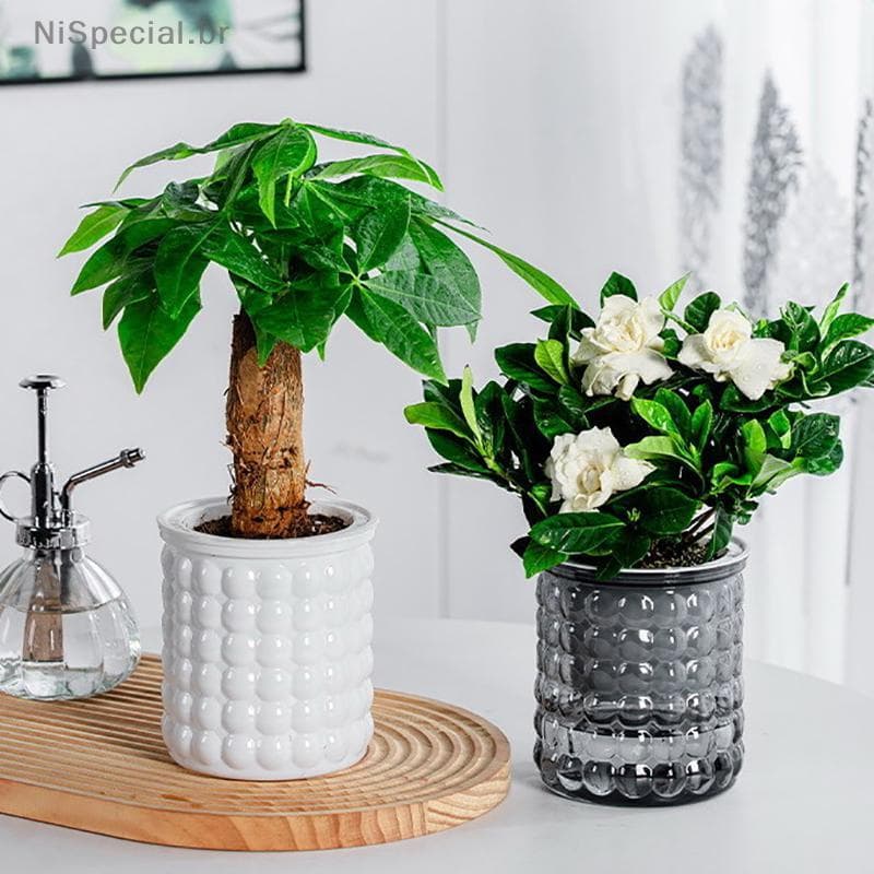 [Nis] Mini Vaso De Flores Com Rega Automática Para Tanque De Peixes Vasos De Plantas De Plástico Transparente Planta Dec