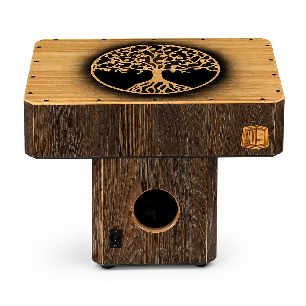 Cajón Elétrico Profissional Marcos Brandão Jadna Zimmermann