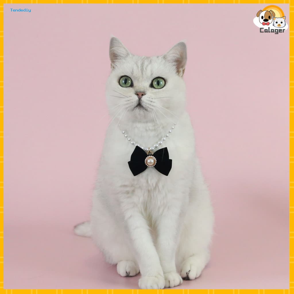 Velvet Bow Pet Accessory Adjustable Necklace Princess Style Cat with Bowknot Collar for Kittens Southeast Asian Buyers'