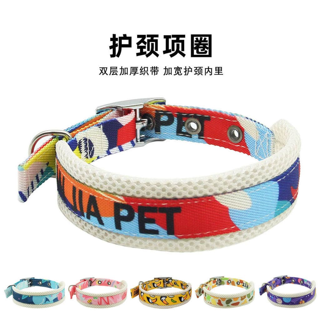Coleira de cachorro coleira de cachorro Poodle Shiba Inu Teddy Schnauzer grande médio pequeno cão Premium coleira para a