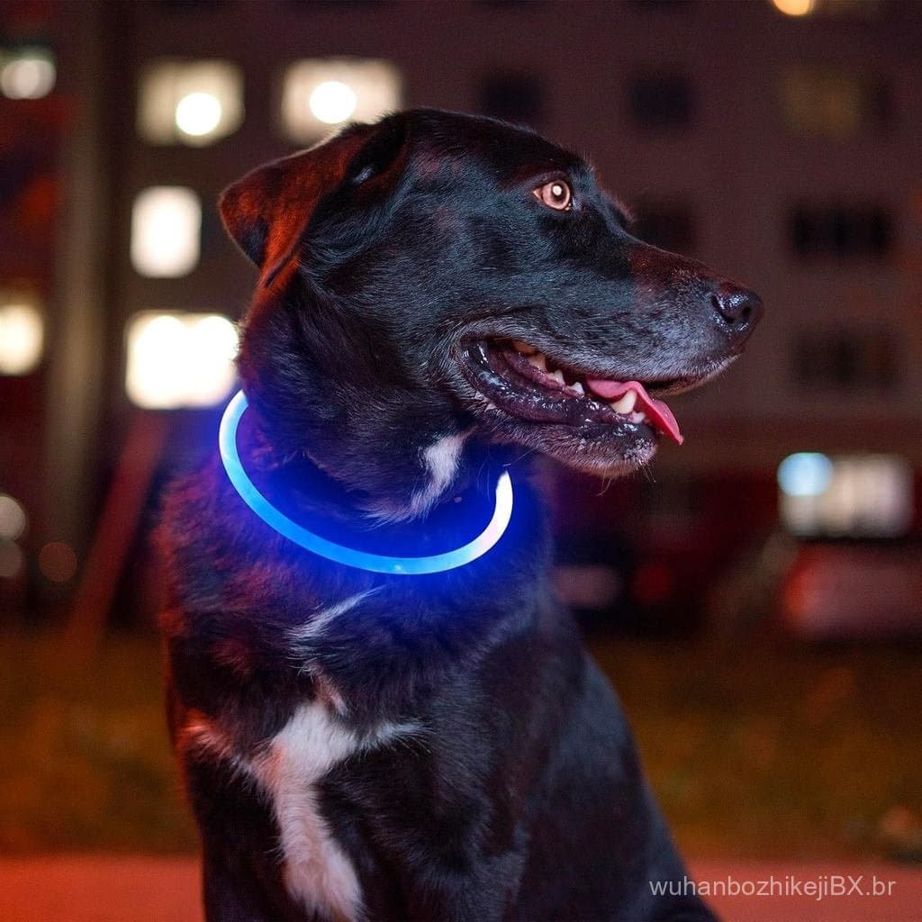 Coleira Luminosa para Cães, Colar de Luz Recarregável USB BSEEN, Coleira de Segurança para Animais de Estimação que Perm