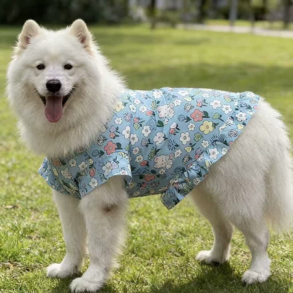 Vestido leve para animais de estimação para primavera e verão, para cães grandes, confortável, respirável, protetor sola