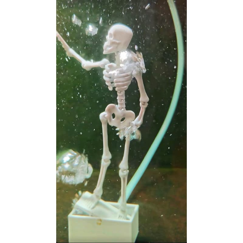 Crânio Dançante para Aquário, Decoração Articulada em PETG Impressa em 3D com Movimento através de Bolhas de Ar 3814