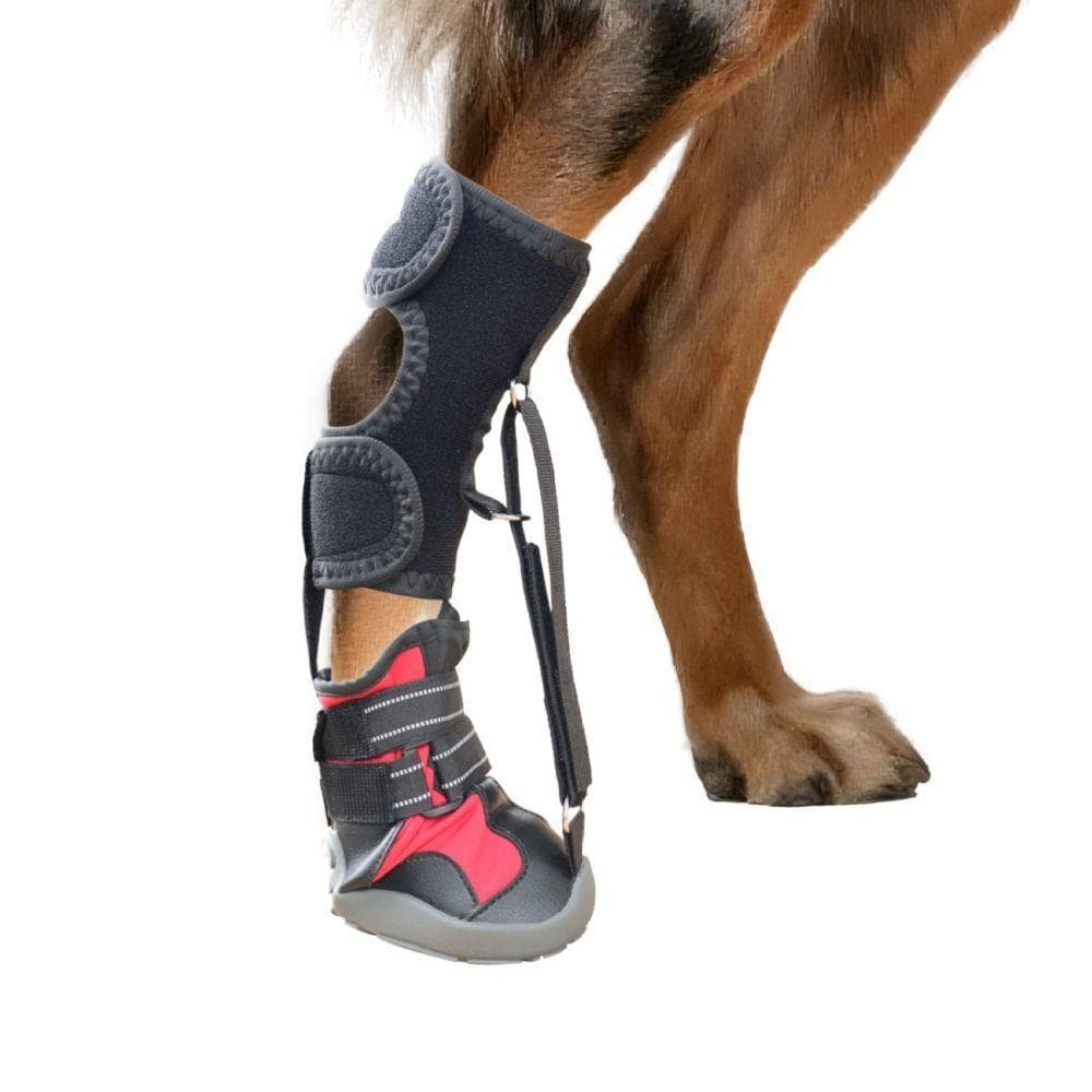 Sapatos Corretivos Para Cães , Respiráveis Com Cinta De Pé Antiderrapante E Sem Faca