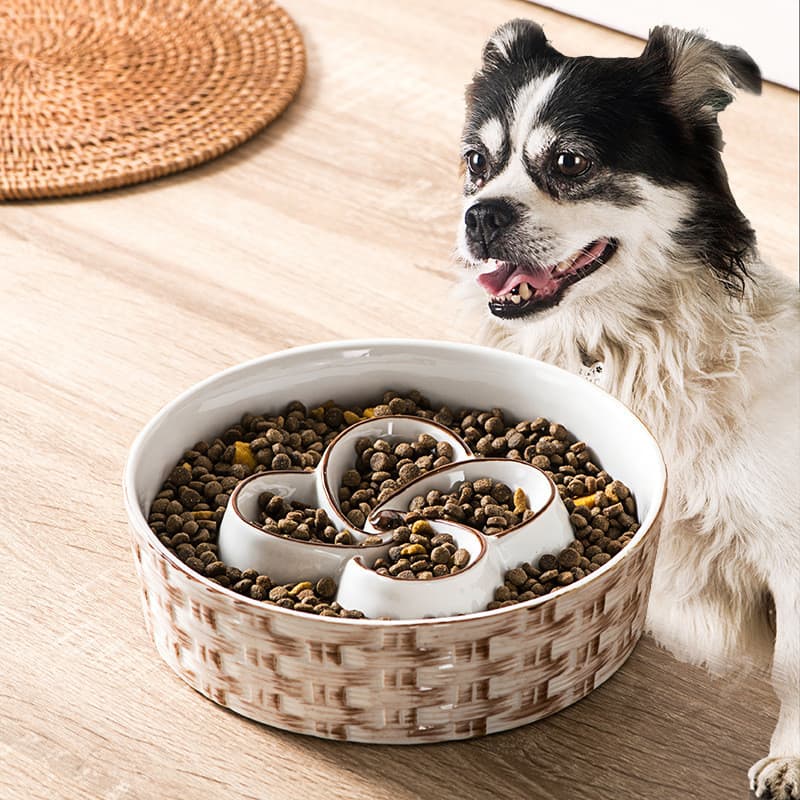 [Estoque pronto] Comida lenta Tigela para animais de estimação Tigela para gatos Utensílios de alimentação Anti-asfixia