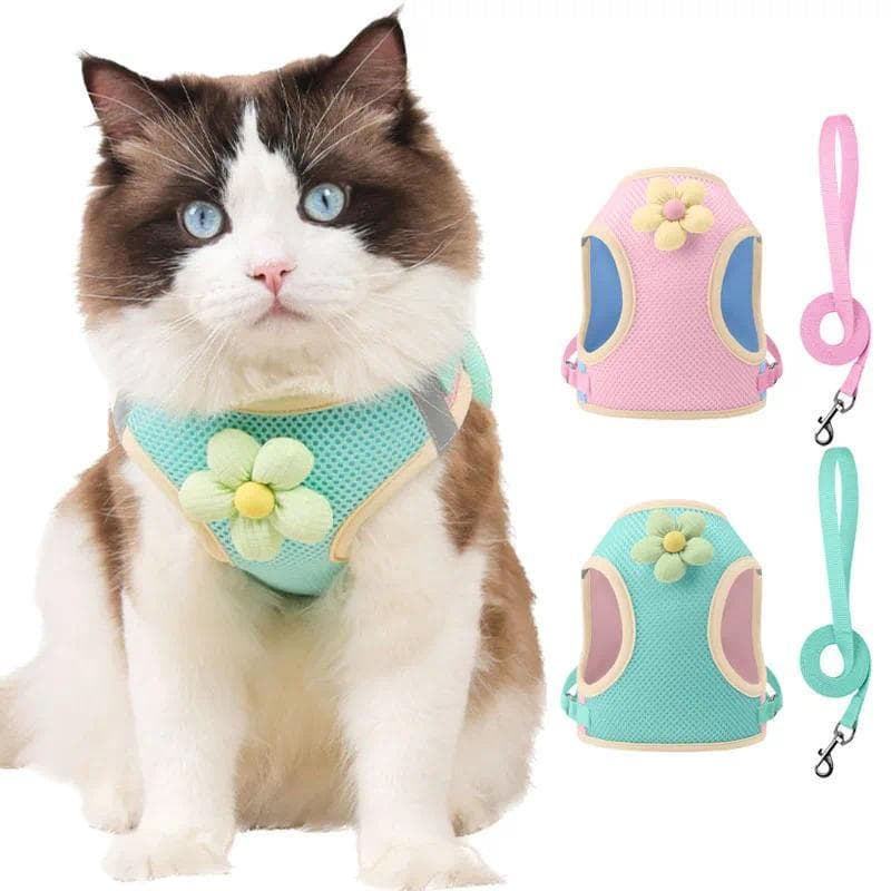 Conjunto de Coleira e Guia para Gatos de Verão com Design Bicolor, Ajustável, para Cães Pequenos e Gatos, Coleira para P