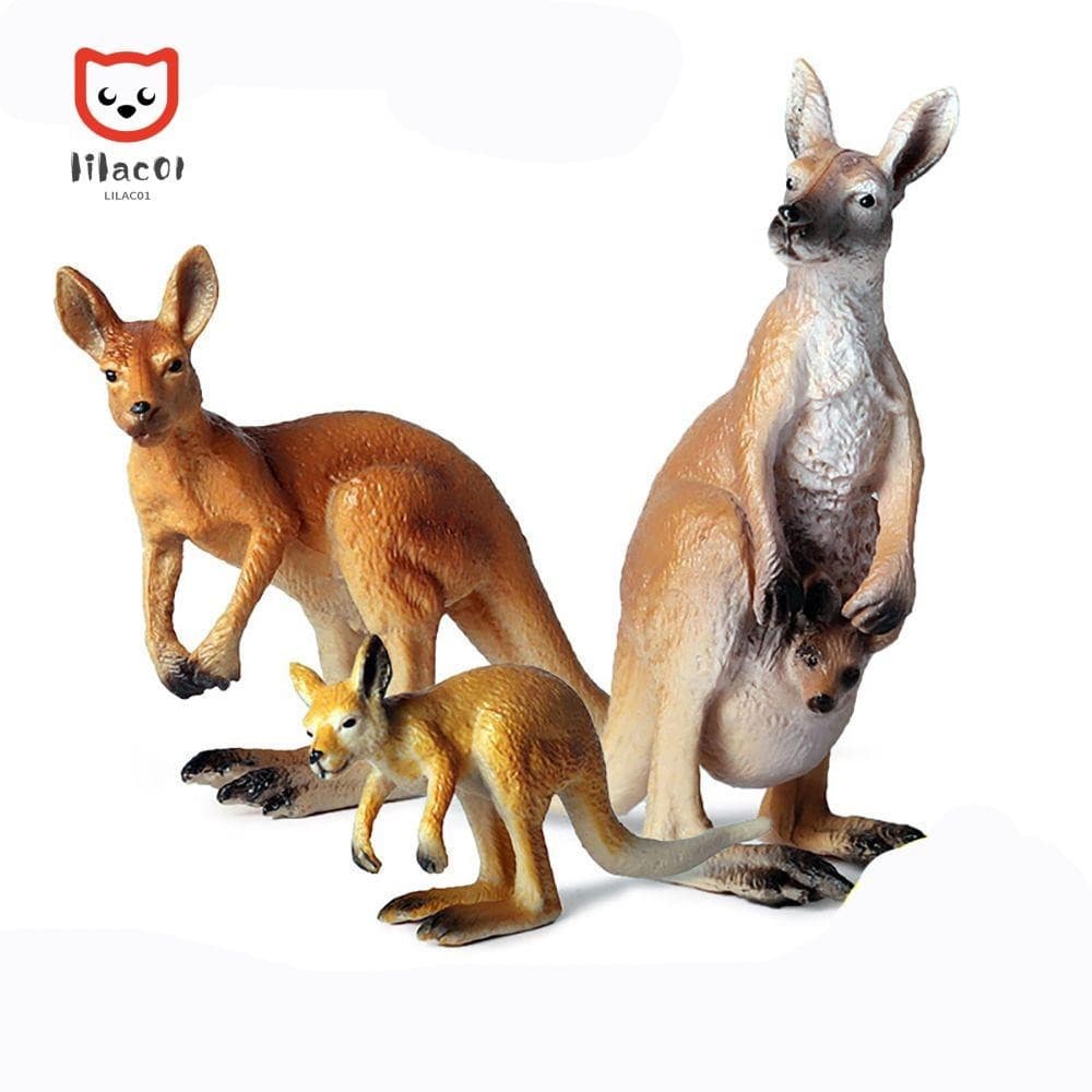 LILACUVOE Modelo De Canguru Realista Crianças Cognição Educação Infantil Ciência E Simulação Animal Selvagem MTCV