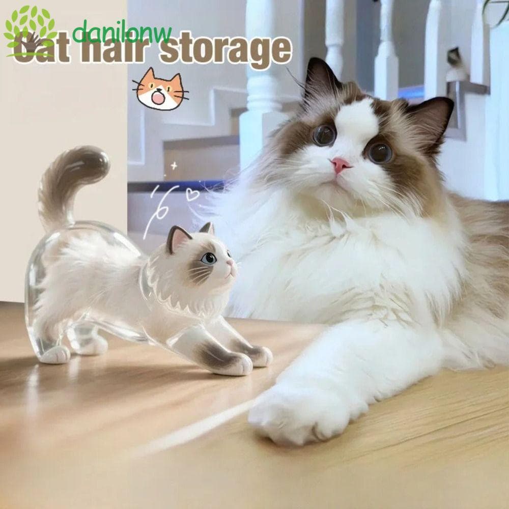 Chaveiro Acrílico De Cabelo De Gato DANILO , Caixa De Armazenamento Siamês Transparente , Pingente Pele De Cachorro Fofo