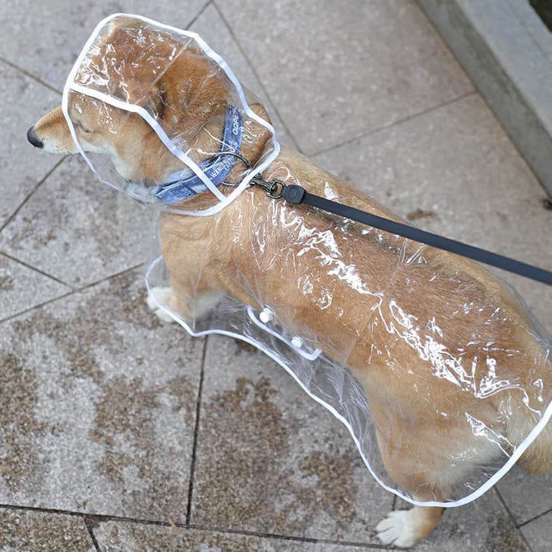 Capa de chuva para cachorro, capa de chuva para animais de estimação, quatro patas, Poncho, roupas Corgi, qualidade, peq