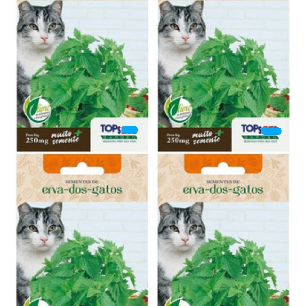 1000 Sementes Erva Dos Gatos (nepeta Cataria) Catnip Tops