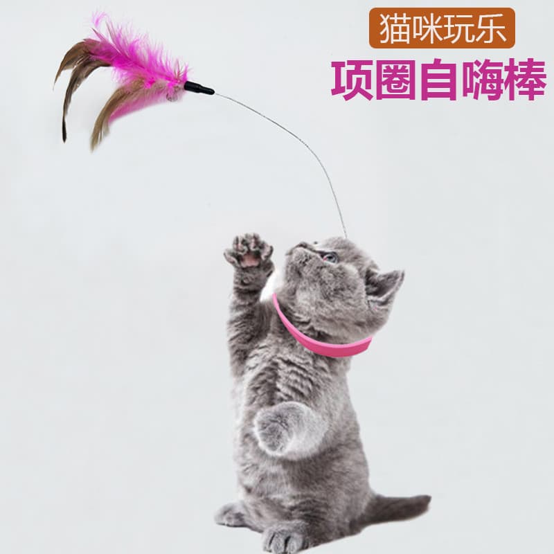Novo produto colar provocando gato vara auto-feliz tédio alívio gato brinquedo colar pena sino gato brinquedo suprimento