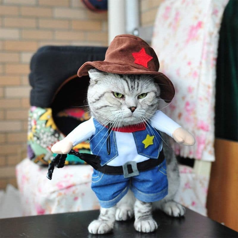 Fantasia De Cachorro Cowboy Com Chapéu , Gato & amp ; Cosplay , Uniforme De Ocidental