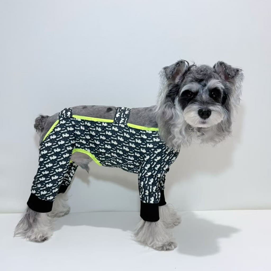 Street Wear Dog Calças anti-poeira de quatro pernas Primavera Verão Outono Estilo fino Novo estilo Leggings anti-sujeira