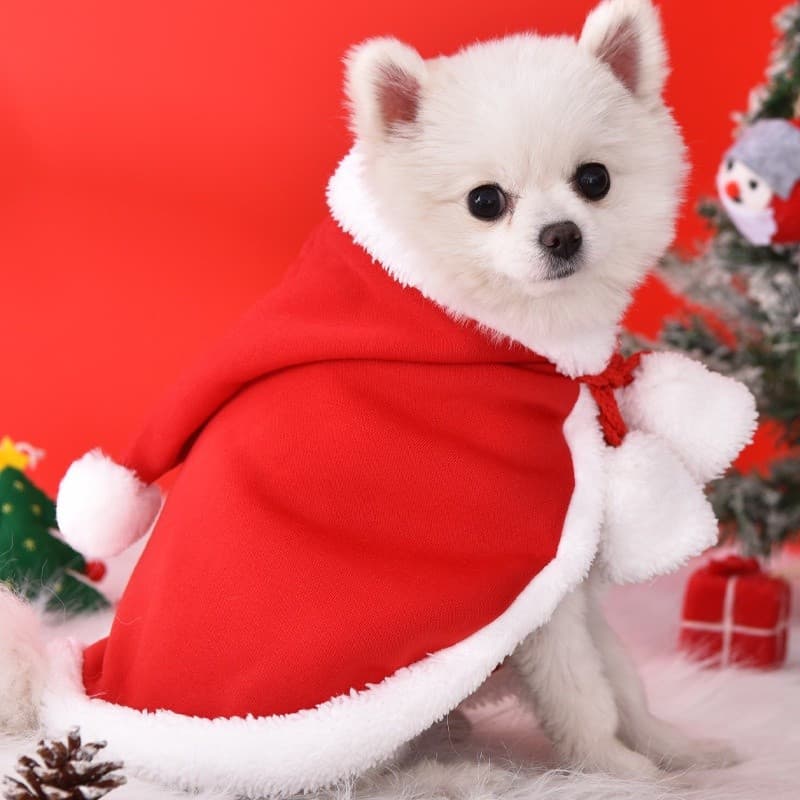Cães Outono E Inverno Roupas Quentes Chapeuzinho Vermelho Capa Natal Gatos De Estimação Com Capuz Para Animais