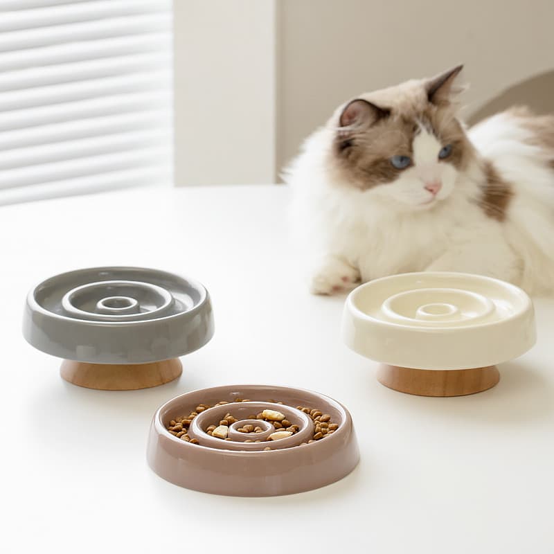 Prato de cerâmica para comida lenta para animais de estimação Proteção Cervical Tigela para gatos Prato de jantar para g