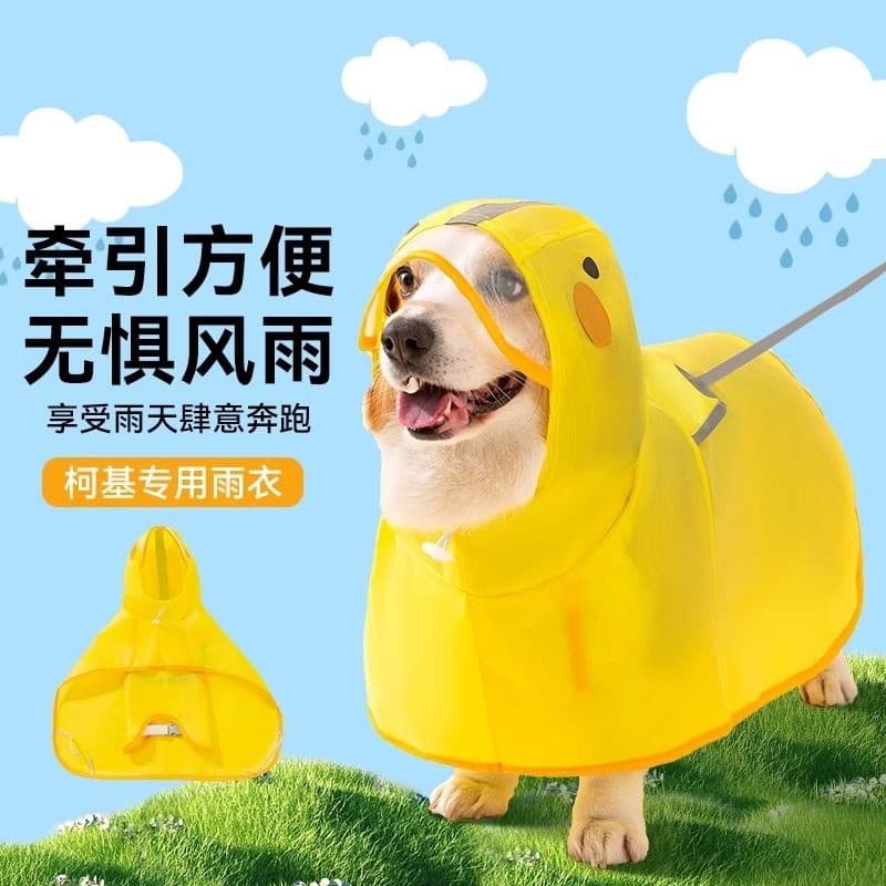 Corgi Teddy Bichon e outros cães pequenos e médios capas de chuva para animais de estimação primavera verão à prova dwat