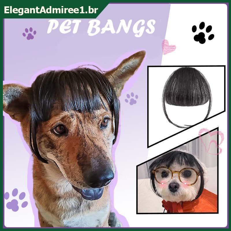 ELEGA Peruca Engraçada Para Gatos , Animais De Estimação , Suprimentos Acessórios Criativos , Decoração Fina E Leve , Su