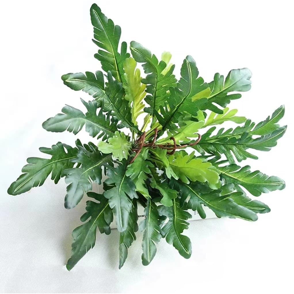 Simulação Planta Verde Folha Persa Ninho de Pássaro Samambaia Planta Acessórios de Parede Interior Exterior Série Mori G