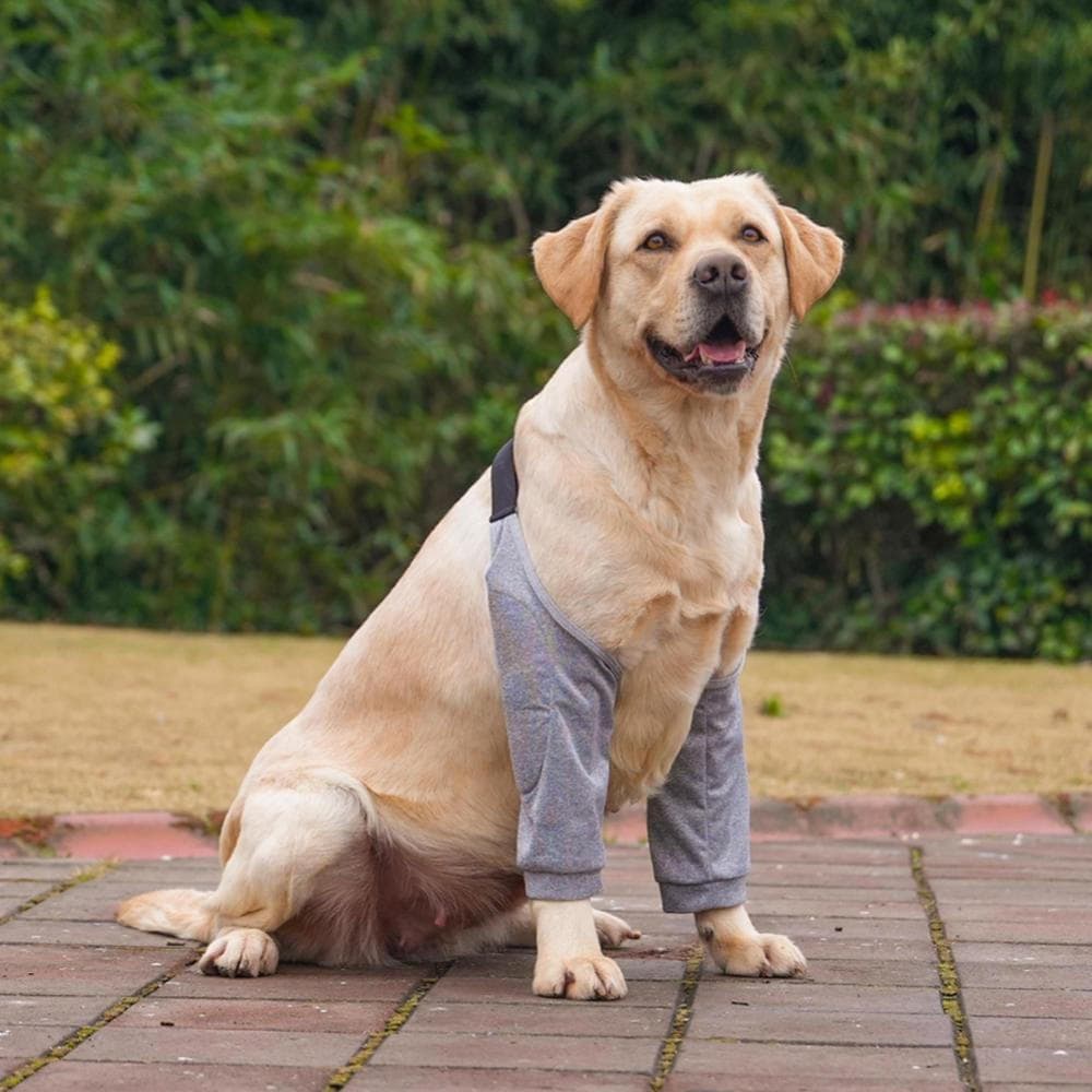 TKEY Cão Cotovelo Cinta Protetor Anti-Lamber Ferida Macio Respirável Alívio Da Dor Ombro Suporte Mangas Almofadas Para C
