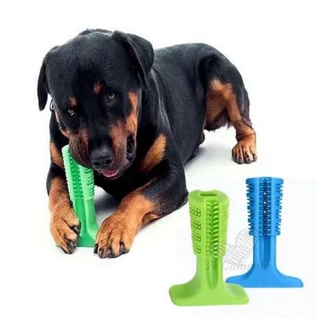 Mordedor Escova Dente Cachorro Brinquedo Resistente Grande