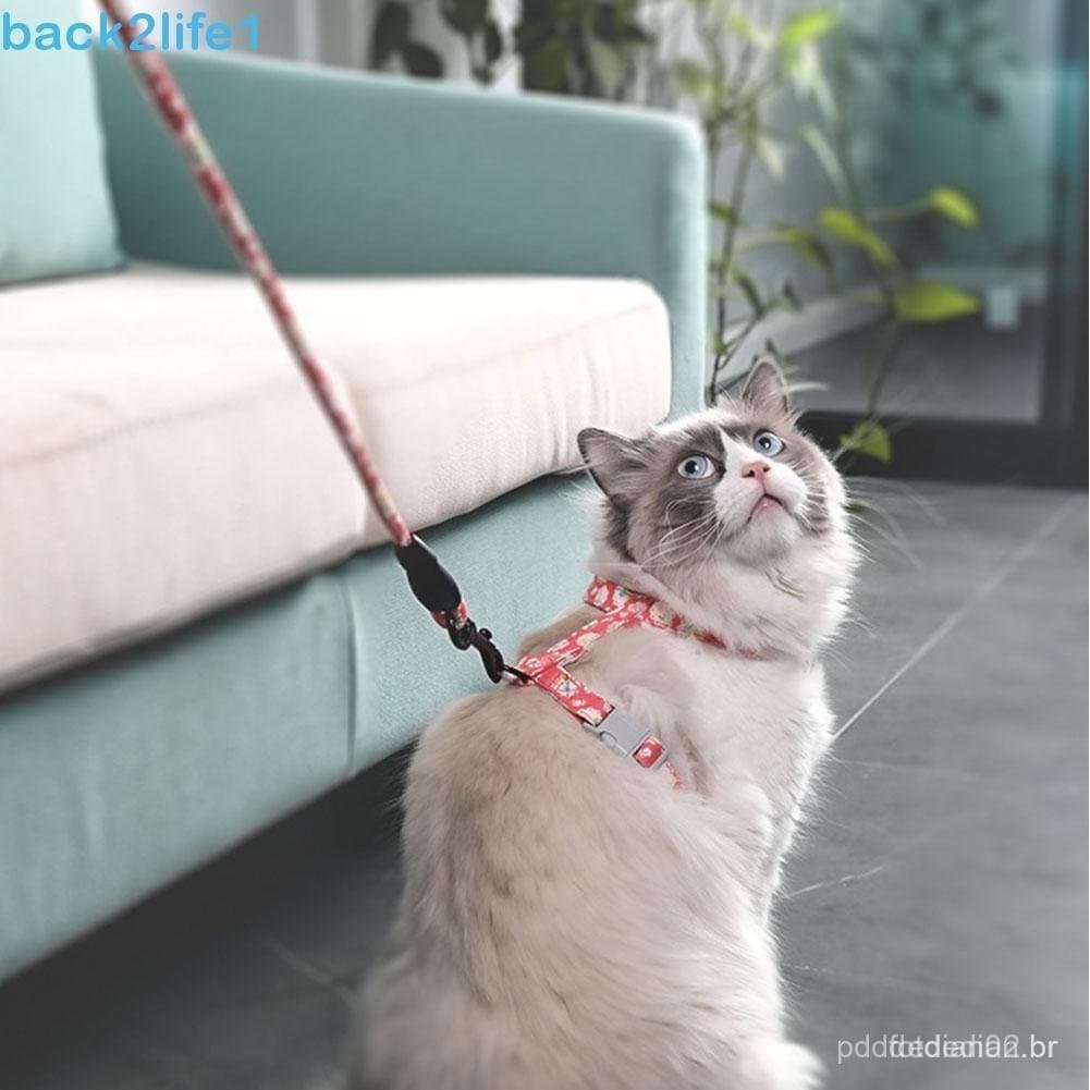 BACK2LIFE1 Conjunto De Arnês Para Gatos Corda De 1.5 M De Comprimento 2 Tamanhos Confortável Soft E Trela Ajustáveis Cam