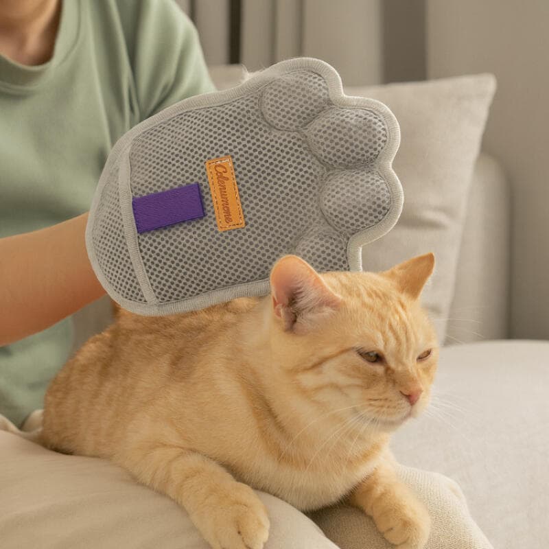 Luva Removedora De Pelos De Animais De Estimação , Gato , Cachorro , Escova Universal Para Remoção , Dupla Face , De Lim
