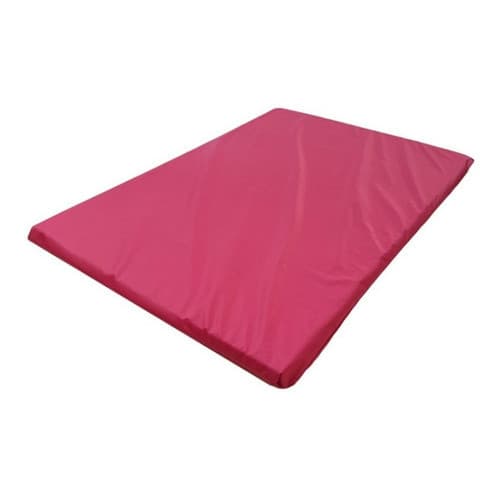 Kit 10 Colchonetes Academia 90x40x3 Cm D18 Ginástica/ Escola