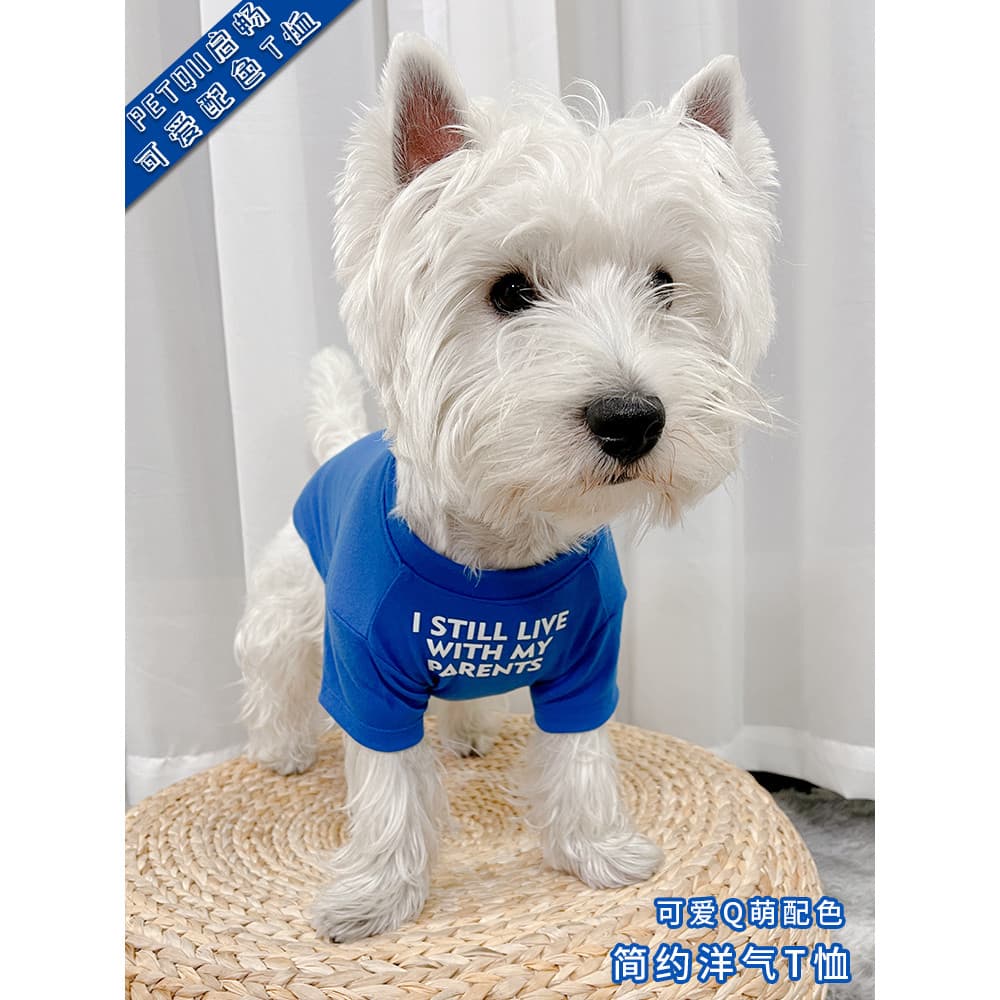 Roupas para cães verão estilo fino gato Bichon francês luta filhote de cachorro Pet Corgi outono inverno gato de pelúcia