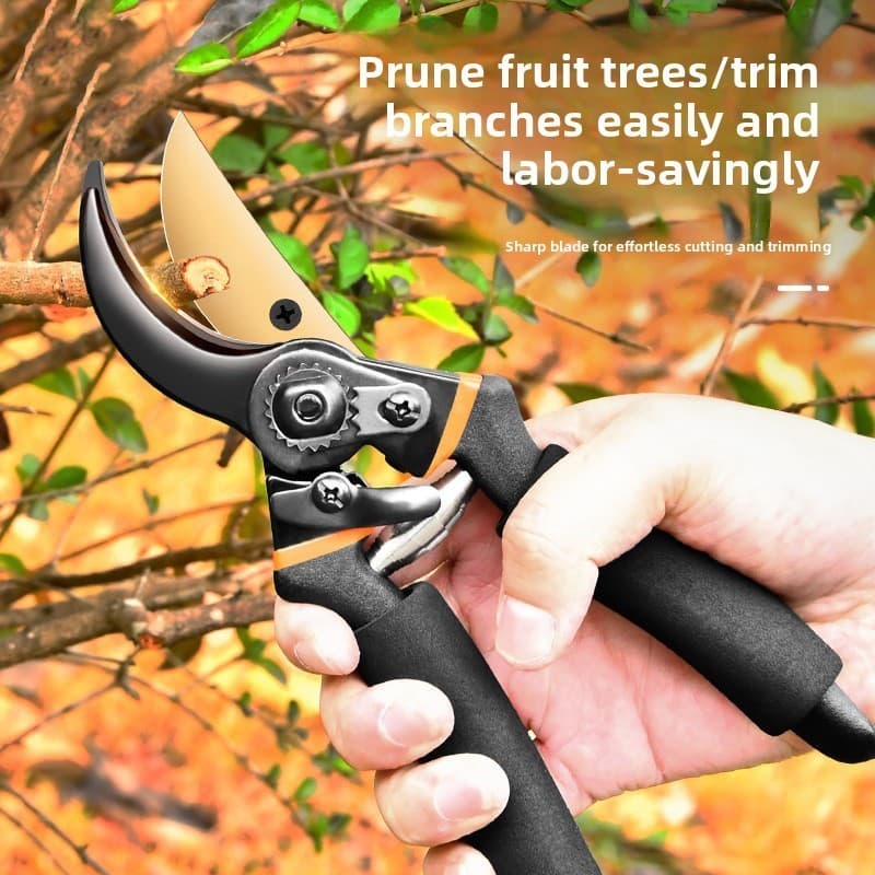 Tesoura de poda SK5 aço profissional jardim árvore frutífera tesoura de ramo grosso doméstico afiado Floral Bonsai poda