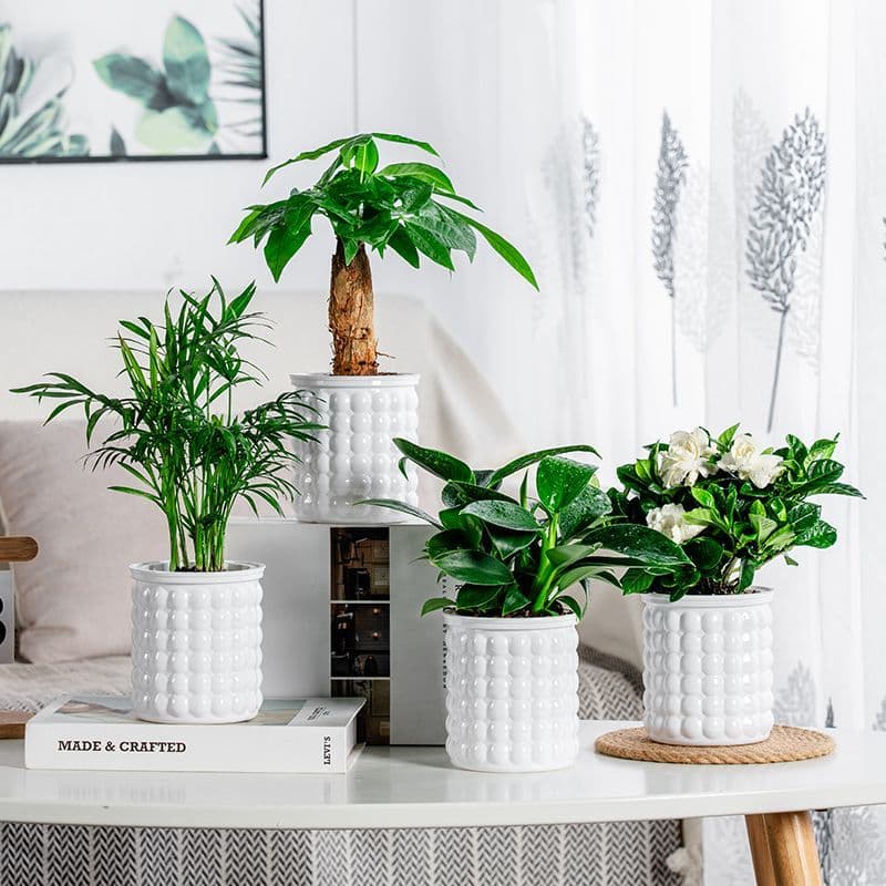 Meixuan criativo preguiçoso auto-absorvente transparente vaso de plástico pequena planta verde estilo bolha solo hidropô