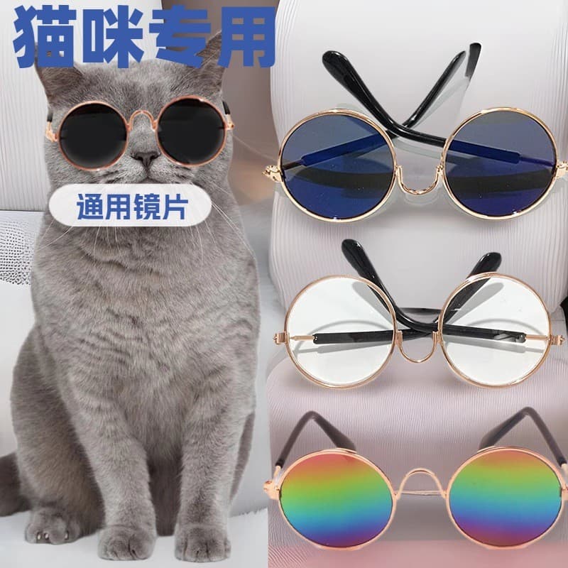 Óculos para gatos, acessórios para animais de estimação, suprimentos