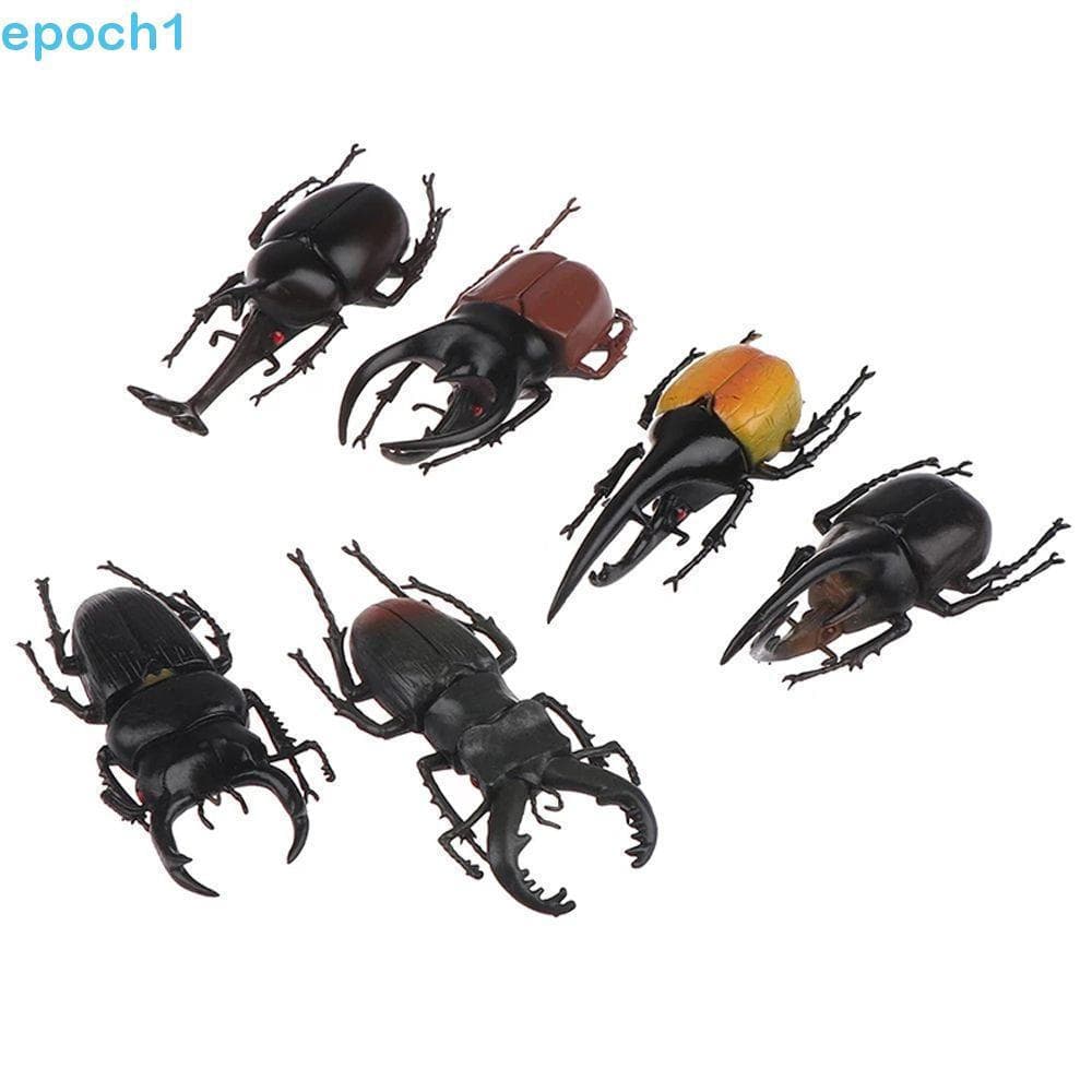 EPOCH1 Especial Modelo Realista Ciência Brinquedo Inseto Simulação Animais Besouro Figuras Crianças Brinquedos