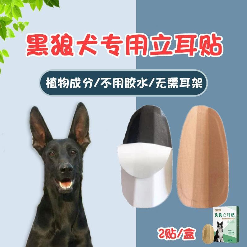 Preto lobo cão dedicado orelha stander cão orelha stander ferramenta útil filhote de cachorro orelha stander ajuda orelh