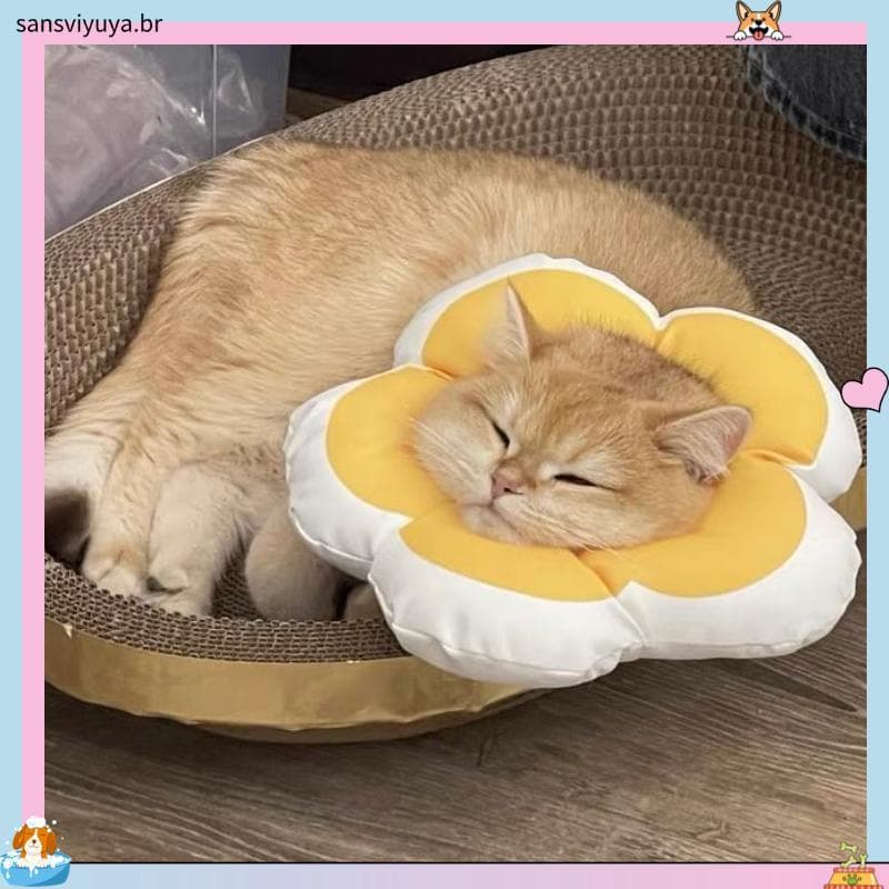 Coleira elizabeth para gatos, coleira Anti-lamber para esterilização de gatos, coleira macia para gatinhos, à prova d'ág