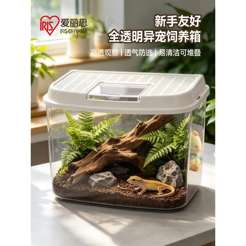 Alice escalada caixa de reprodução para animais de estimação Desktop tanque ecológico Gecko lagarto tartaruga cobra esca