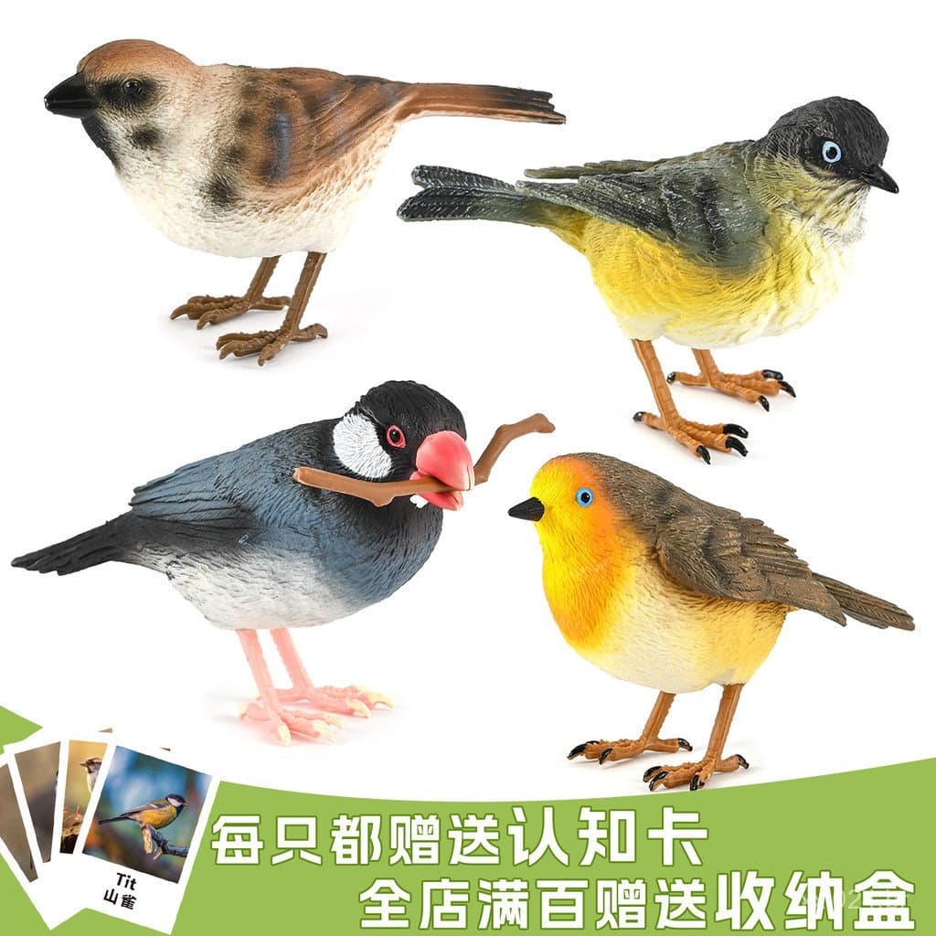 Brinquedo de modelo sólido e realista de pássaros e animais: tucano, pardal, rouxinol, tentilhão, brinquedo cognitivo pa