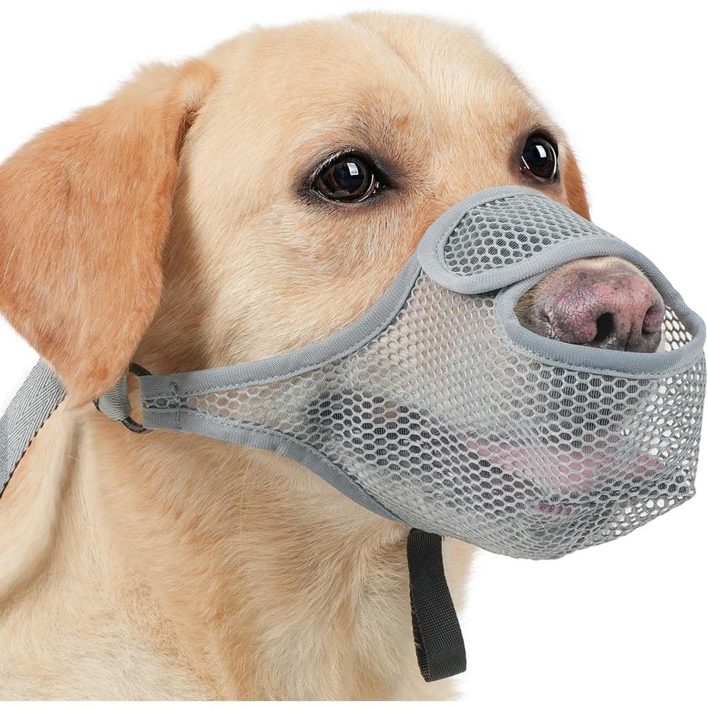Focinheira para Cães LUCKYPAW para Cães Grandes, Médios e Pequenos, Focinheira de Malha Patenteada para Prevenir Mordida