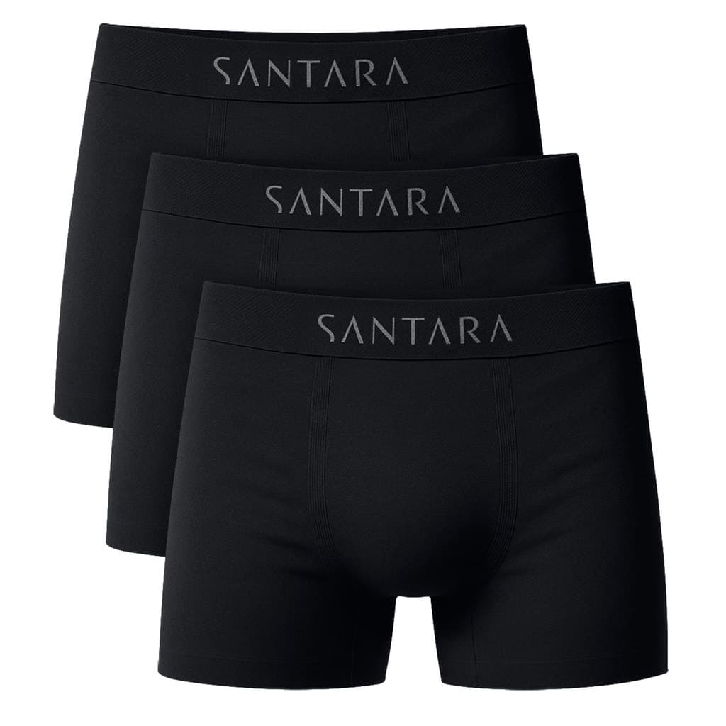 Kit 3 Cueca Boxer Adulto Microfibra Sem Costura Kit Cueca Box Premium Cueca Masculina Santara