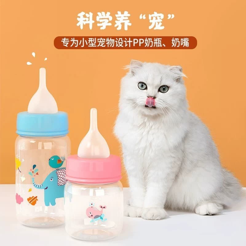 Suprimentos para gatos