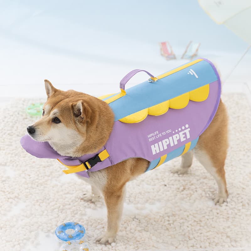 Colete Salva-Vidas Para Cães De Verão , Flutuante , Suprimentos Animais De Estimação , Natação golden retrievers E Grand