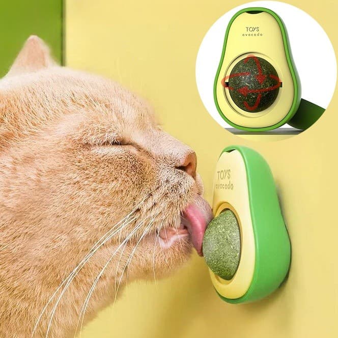 Brinquedo Para Gatos Abacate Com Catnip Suave Erva Gato Natural Interativo