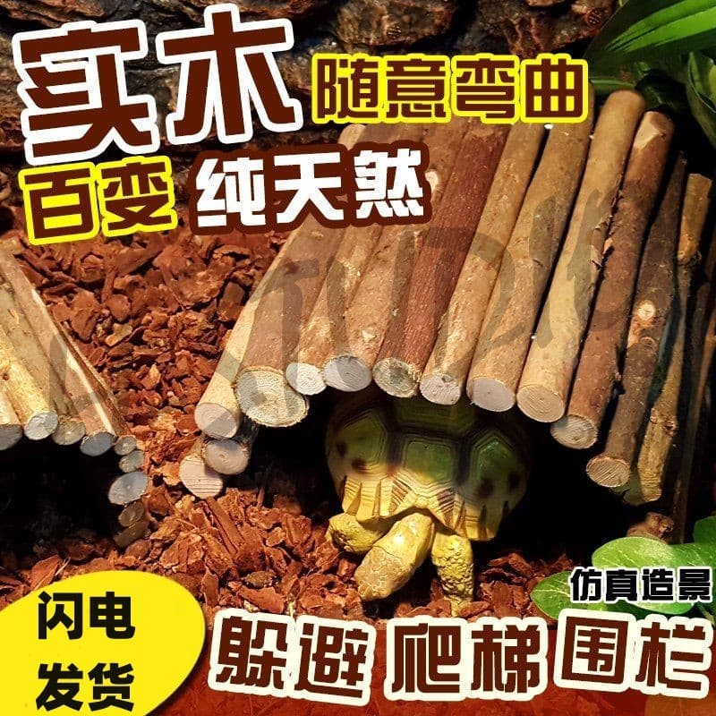 Tartaruga esconder casa escalada animais de estimação tartaruga costeletas lagarto camaleão eremita caranguejo esconder