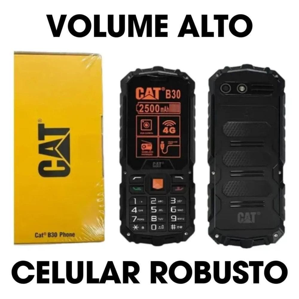 Celular Cat B30 4G Idoso Dual Chip Câmera Tela 2.4" Rádio FM  teclado rgb