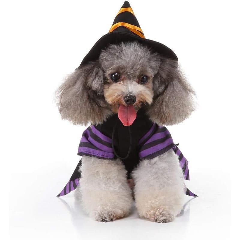 Fantasia De Vestido De Bruxa De Gato De Halloween-Roupas Para Animais De Estimação Com Chapéu Ajustável De Cosplay De Ca